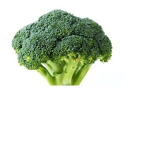 Fresh Broccoli ,Fresh Green Brocolli,Frozen fresh broccoli