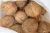 Import Fresh Brown Semi Husked Coconuts..................................... from South Africa