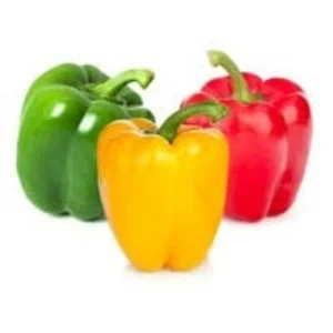 Fresh Capsicum available for sale