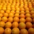 Import Fresh Citrus Fruits, Juicy Oranges for sale from Ukraine