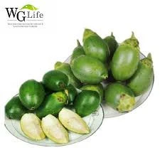 FRESH GREEN NUT WITH HIGH QUALITY FROM VIET NAM/ ARECA NUT
