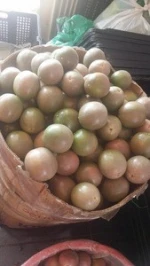 Fresh Passion Fruit - competitive price for export 2019