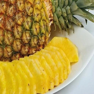 Fresh Pineapple - High Quality - Competitive Price - Natural Taste