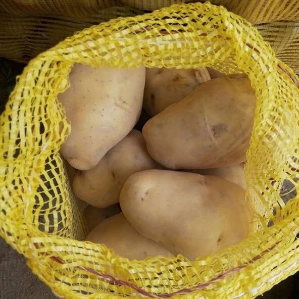 fresh potato price and fresh new yellow potatoes for hot sale