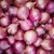Import Fresh Red Onion Yellow Onions from South Africa