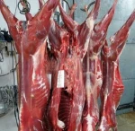 Frozen Halal Lamb Sheep or goat meat