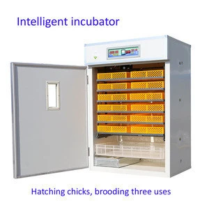 Full Automatic chicken egg incubator