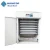 Import Full automatic intelligent control solar poultry egg incubator for sale from China