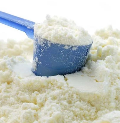 Full Cream Milk Powder, 25KG (26% Fat) - Milky Holland