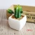 Import Garden decor artificial cactus flower mini succulent plants bonsai from China