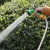 Import Garden spray gun horticulturist spraying water micro-spray irrigation car wash flexible flexible water pipe set wholesale from China