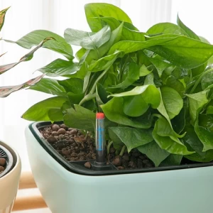 Garden Supplies Round Style Desktop Decor Bonsai Self Watering Plastic Flower Pot Plant