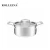 Import German Style Royal Tri-ply Stainless Steel Kitchen Cooking Pot Casserole from China