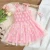 Import Girls Sleeveless Dress 2022 Summer New European and American Fashion Embroidered Daisy Girl Sling Mesh Princess Dress from China