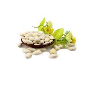 Good canned white kidney bean Navy bean with best price