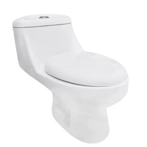 Goodone Siphon Valve Flush S Trap Single Piece Set Toilet Basin Combination