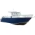 Import Gospel brand 9m large aluminum deluxe lifestyle fishing boats from China