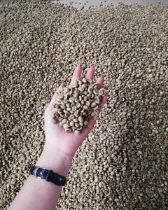Green Coffee Beans from Vietnam Best Quality No Mix