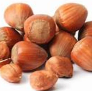 Guaranteed Quality Unique Hazelnut kernels/Hazelnut