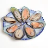 HACCP Certificate seafood shellfish frozen half shell mussel