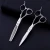 Import Hair Scissors Cutting Barber Shears Salon Hairdressing Professional Hand Thinning Scissors from China