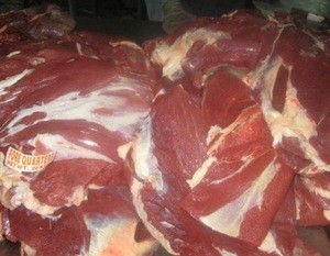 HALAL FROZEN BONELESS BEEF / BUFFALO MEAT