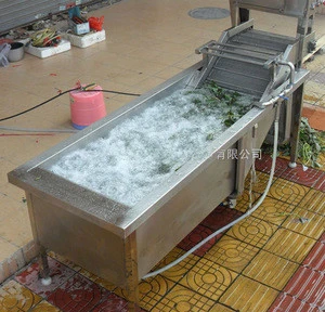 High capacity vegetable washer
