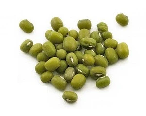 High class AA grade Green Mung Bean