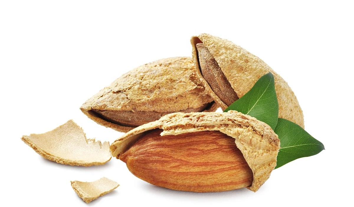 High quality almond with shell, without shell wholesale sale