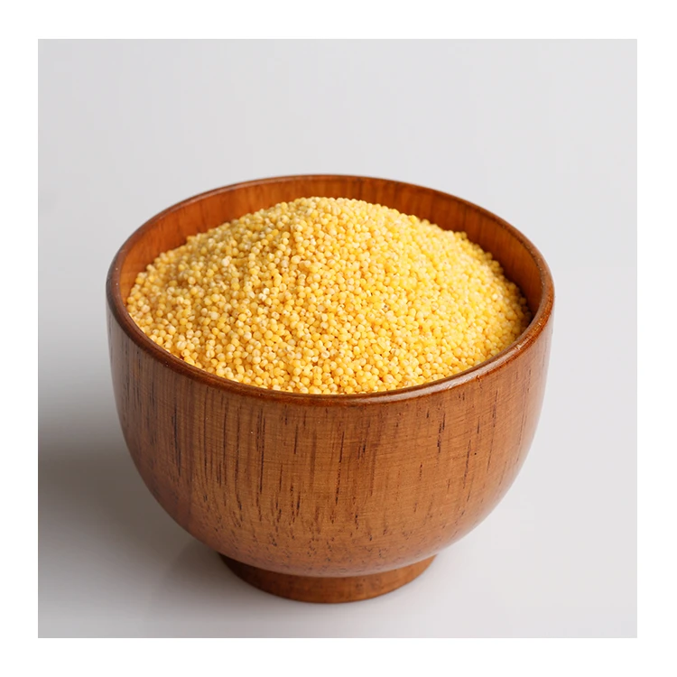 High Quality Conventional Yellow Millet Importers
