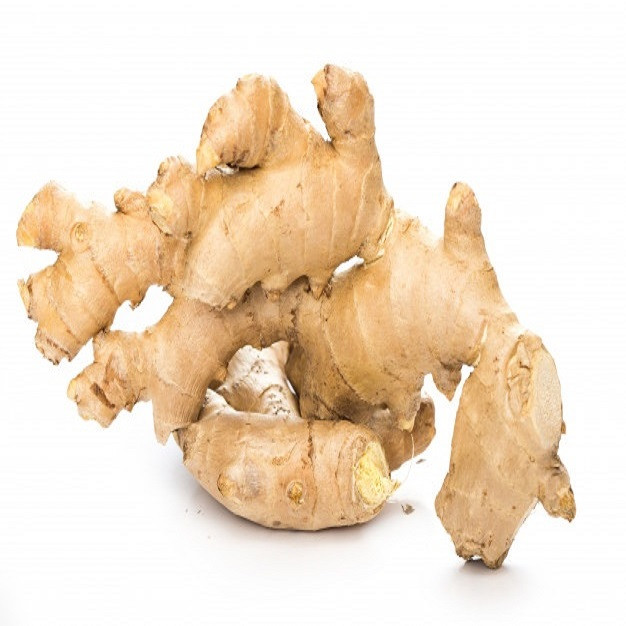 High Quality Fresh Ginger For Sale With Export Standard Whatsapp For Detail +6287878942750