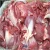 Import HIGH QUALITY FROZEN KANGAROO MEAT from China