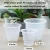 Import High quality PP plastic 7 Inches Orchid Pots with Hole from China