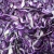 Import High Quality Purple cabbage extract powder 100% natural Red cabbage chunk from Singapore