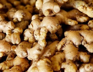 High Quality Wholesale organic fresh ginger