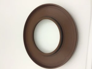 High temperature High pressure shaft seal ring fpm/FKM Oil seal for hydraulic pump OEM Customized 95*170*13