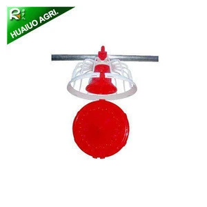 Hot sale automatic chicken feeder for broiler feeding system poultry ground rearing