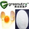 Hot sale egg; egg white protein powder