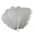Import Hot Sales 20-25cm  Cheap Artifical Ostrich Feathers Blue for DIY Craft Project from China