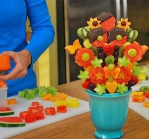 Hot selling Fruits Slicers Vegetables Tools Carve Patterns / Fruit Salad Decoration / fruit vegetable mold tool
