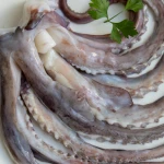 Hot Selling High-quality Frozen Raw Wings giant squid fishing