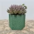 Import Hot Selling New Cork Flowerpot Various Shape Garden Basket High Quality Planter Pot Succulent Planter for Wholesale from China
