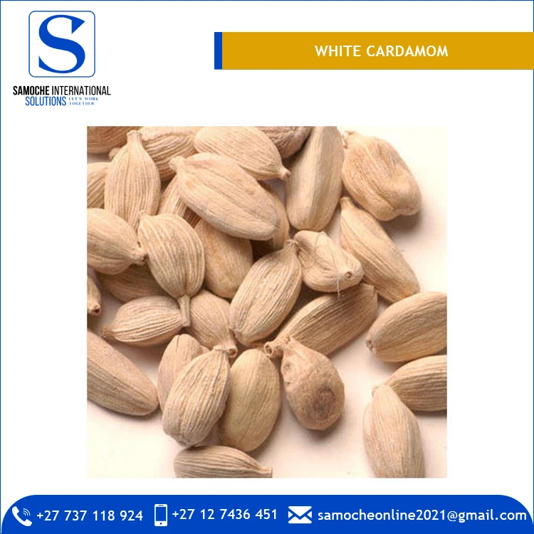 Hot Selling Reasonably Priced Light Weight White Cardamom