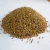 Import Hybrid Alfafa Seeds For Agricultural Seeding from Germany
