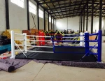 IBF Certificated Professional Boxing Platform/Floor Boxing Ring