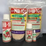 Japanese Quick Release Type Plant Flower Seaweed Fertilizer Liquid