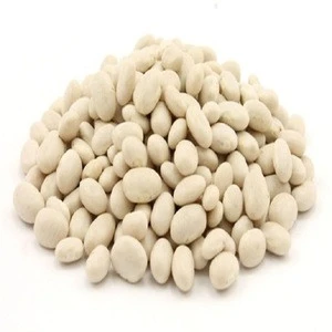 Kidney White Bean for Canned Food