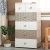 Import Large Size ABS Material Panel Storage Plastic Cabinet from China