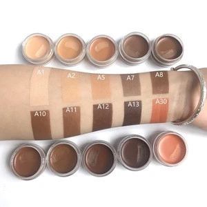 Low moq high quality full coverage concealer makeup single cream concealer private label