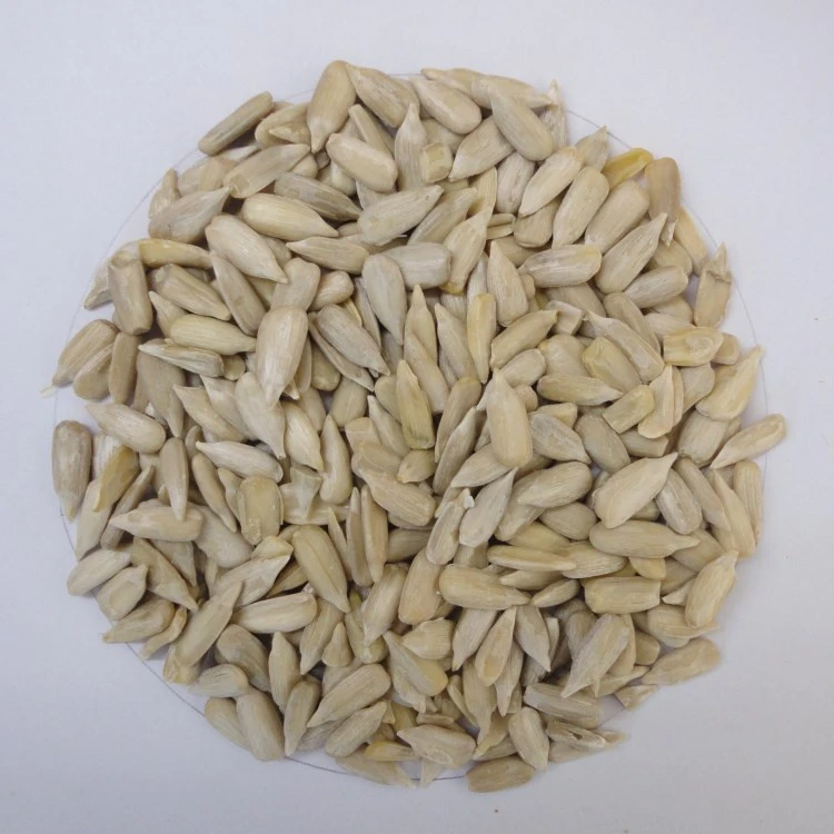 Low price Wuyuan sunflower kernels for oil extractor